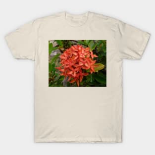 Orange Flower T-Shirt